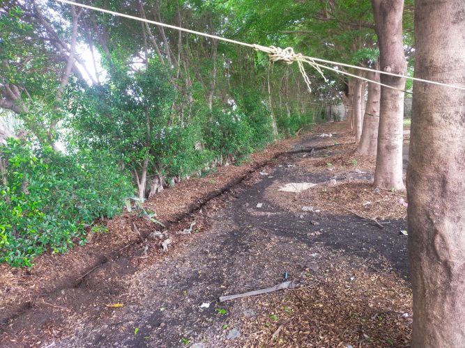 LINE_ALBUM_2568ซ่อมกล้องเณอร่า_251006_14