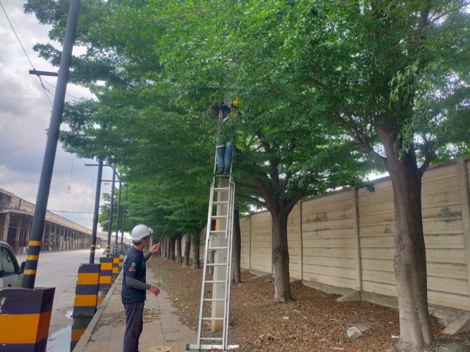 LINE_ALBUM_2568ซ่อมกล้องเณอร่า_251006_22