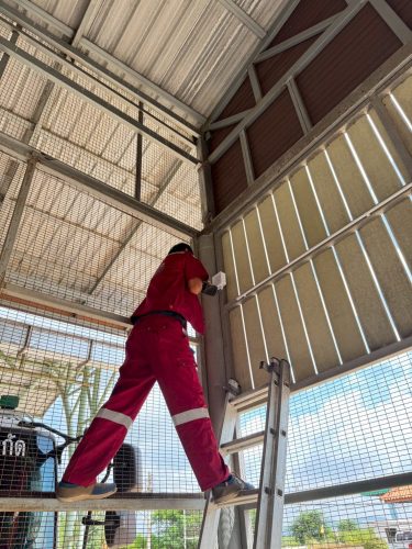 LINE_ALBUM_ติดกล้องwi-fi 8ตัว สหกรณ์โคนมท่าหลวง_251006_16