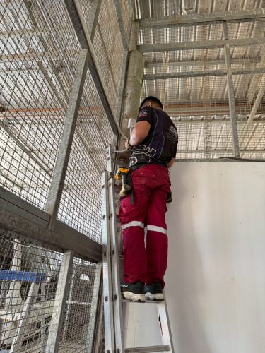 LINE_ALBUM_ติดกล้องwi-fi 8ตัว สหกรณ์โคนมท่าหลวง_251006_31