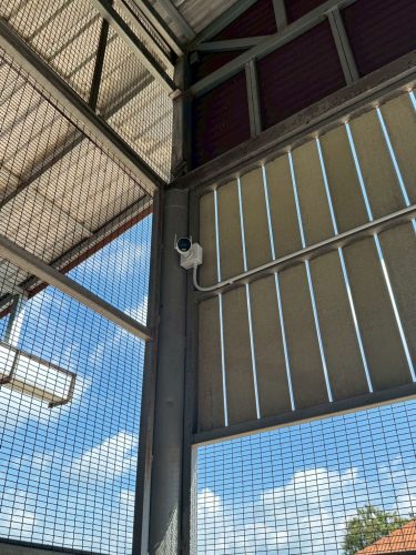 LINE_ALBUM_ติดกล้องwi-fi 8ตัว สหกรณ์โคนมท่าหลวง_251006_36