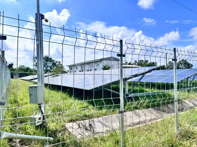 LINE_ALBUM_สหฟาร์มไก่ลำนารายณ์_251006_47